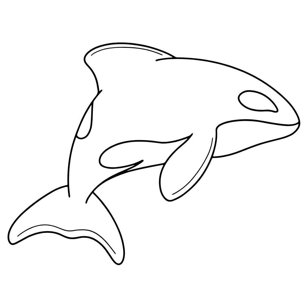 disegni da colorare dei delfini