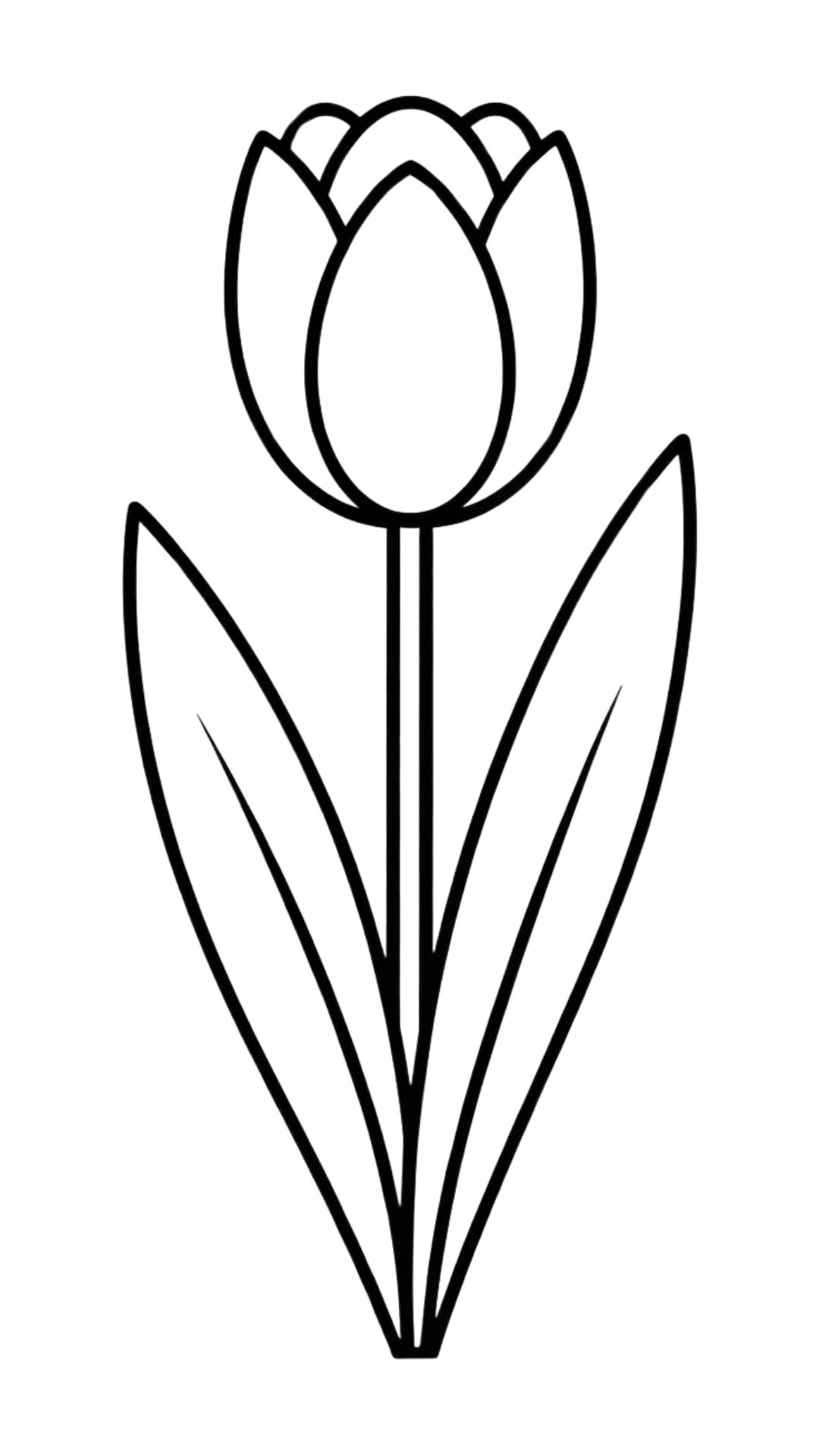 disegno tulipano per bambini da colorare