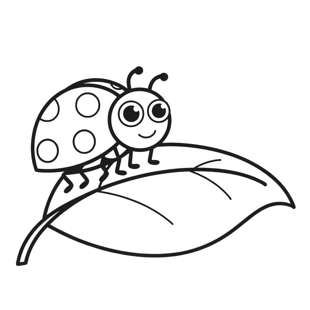 disegni da colorare coccinella