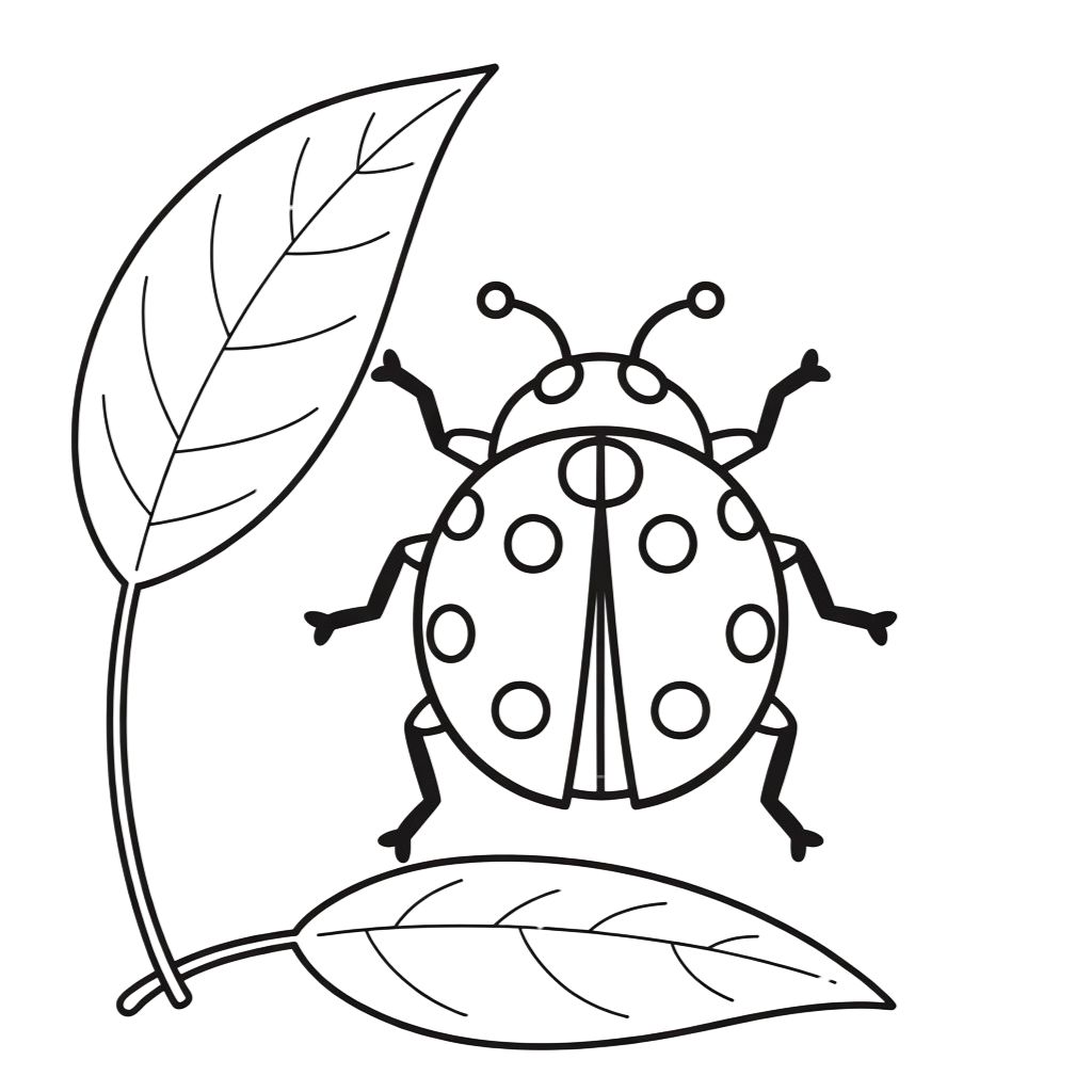 coccinella disegno da colorare