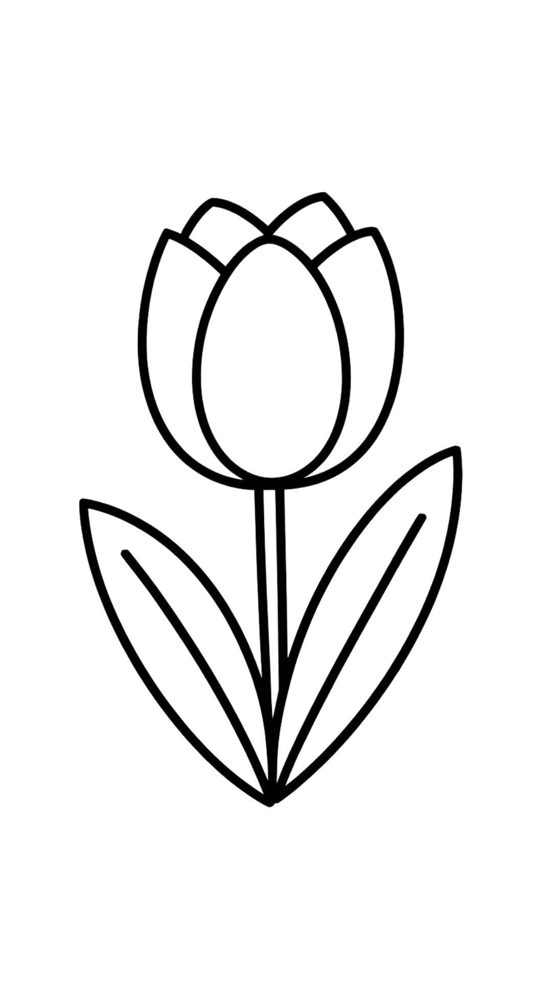 disegno fiore tulipano da colorare