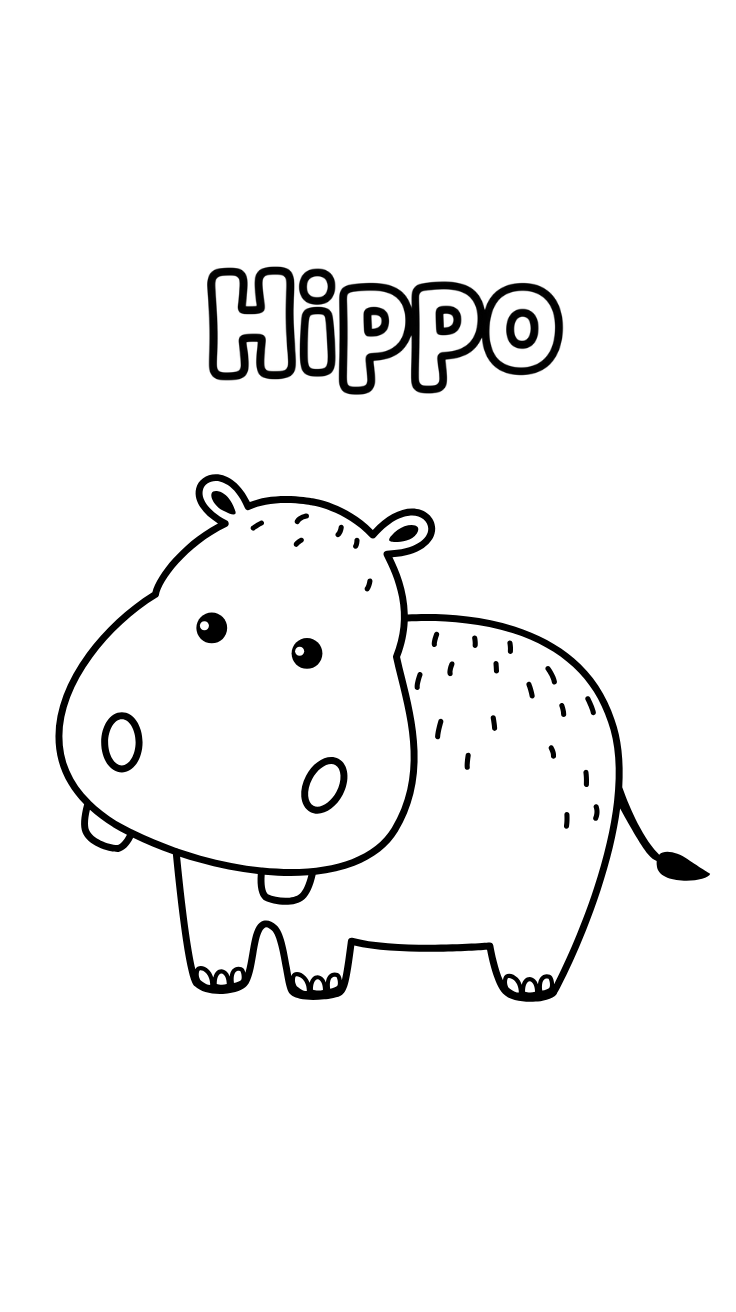 ippopotamo disegni